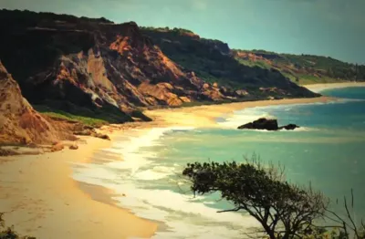 Ref: ter016 - excelente área à venda, litoral sul, praia bela, 400m da praia