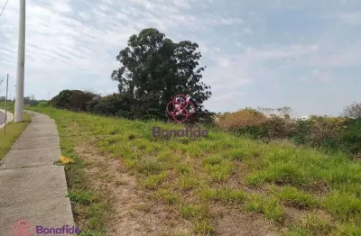 Terreno residencial à venda, bosque, vinhedo - te0590.