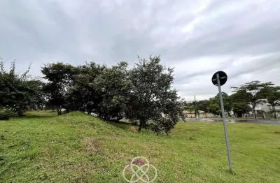 Terreno residencial à venda, loteamento portal da colina, jundiaí - te0301.
