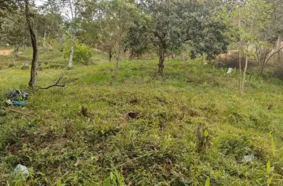 Chácara / sítio à venda na Zona Rural, Natividade da Serra 