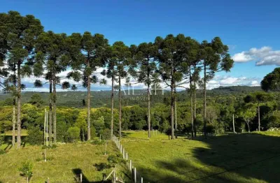 Chácara / sítio à venda na Rua Ismael José Rangel de Castilhos, Ana Rech, Caxias do Sul
