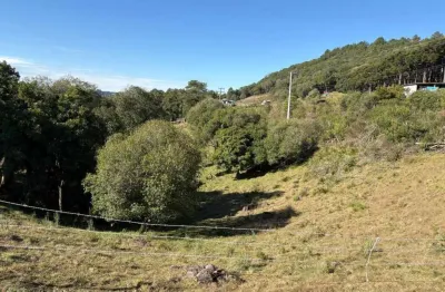 Chácara / sítio à venda na Ana Rech, Caxias do Sul 