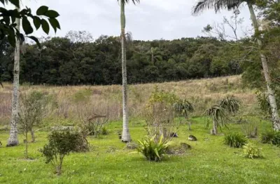 Chácara / sítio à venda no São Pedro da Terceira Légua, Caxias do Sul 