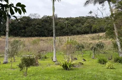Chácara / sítio à venda na Rua Principal, São Pedro da Terceira Légua, Caxias do Sul