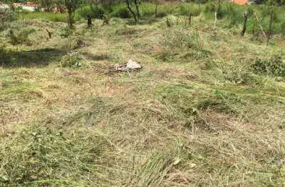 Terreno à venda na alameda dos cedros, vale das acácias, ribeirão das neves por r$ 60.000