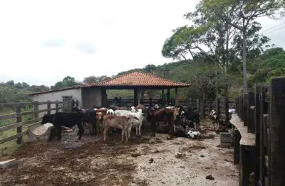 Fazenda à venda na izaltino de aguiar, área rural de pará de minas, pará de minas por r$ 1.500.000