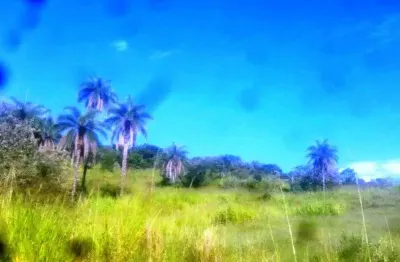 Fazenda à venda na cinco, zona rural, mateus leme por r$ 7.500.000