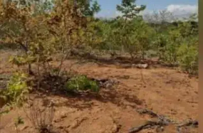 Terreno à venda na padre félix, 75, zona rural, felixlândia por r$ 3.500.000