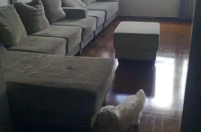 Apartamento com 3 quartos à venda no Centro, Ribeirão Preto 