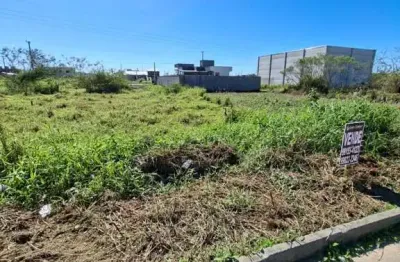 Terreno à venda na Rua Bernardo Turnes Neto, 100, Guarda do Cubatão, Palhoça