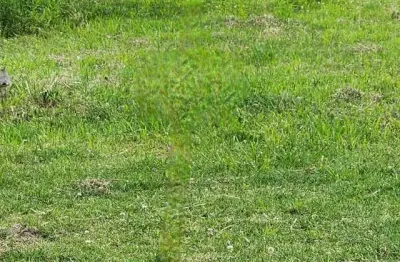 Terreno à venda na Rua Vidal Vicente Andrade, 700, Sertão do Maruim, São José