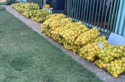 Chácara com 48.400 m² - zona rural - são miguel do passa quatro/go