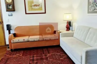 Av jacutinga, uma das ruas mais procuradas de moema pássaros