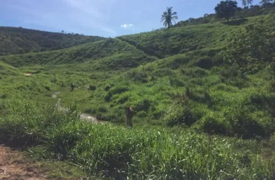 Fazenda com 1 sala à venda na área rural de colatina, colatina  por r$ 10.170.000