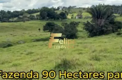Fazenda para café à venda em eunápolis bahia 90  hectares.