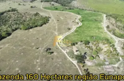 Fazenda para café à venda em eunápolis bahia 160 hectares.