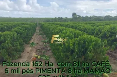 Fazenda de alto padrão em eunápolis/ba  162 hectares documentados 81 há de café.