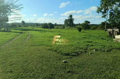 Fazenda à venda no Centro, Eunápolis 