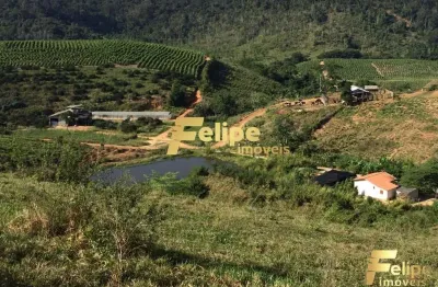 Fazenda em colatina (28km do centro) / um imperdível negócio!
