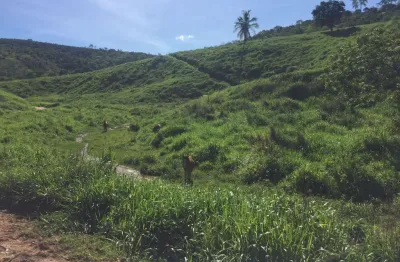 Fazenda com 1 sala à venda na área rural de colatina, colatina  por r$ 10.170.000