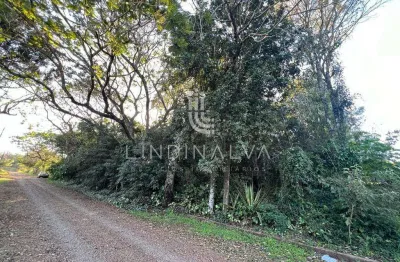 Lote no mata verde com 1542 m2 - com acesso pela av. das cataratas e perimetral leste