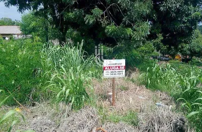 Terreno para locação,874.00 m , centro, foz do iguacu - pr