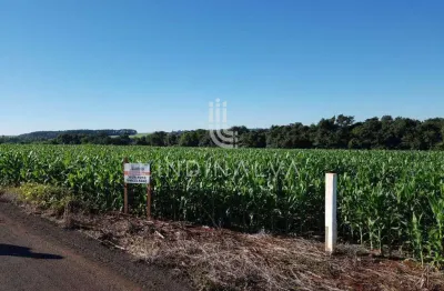 Área na av. felipe wandscheer com 10.649 m2 - com mata e riacho - 15 min do centro.