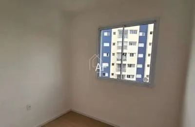 Apartamento novo em pirituba – moderno, aconchegante e com lazer completo!