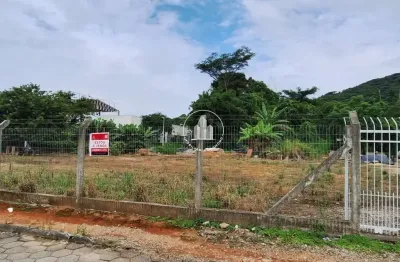 Terreno à venda na Rua Lauri de Souza Barbosa, 2607, Ipiranga, São José