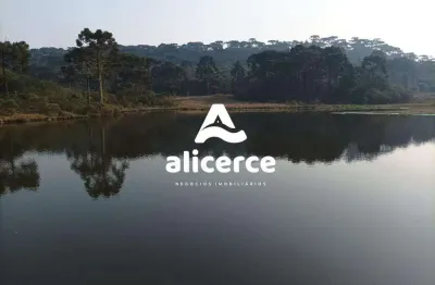 Oportunidade única – fazenda produtiva à venda em são joaquim/sc | exclusividade imobiliária alicerce ideal para cultivo, pecuária e investimentos com