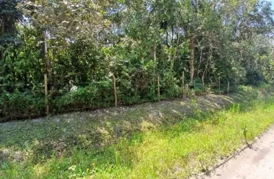 Terreno para venda possui 1825 metros quadrados em são fernando - itanhaém - sp