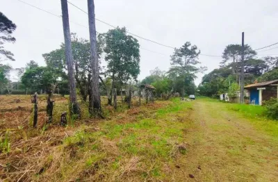 Terreno para venda tem 1250 metros quadrados em sitio velho - itanhaém - sp