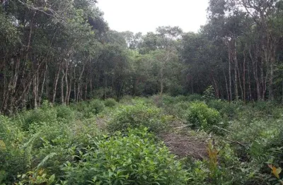 Terreno para venda com 415 metros quadrados em recanto dos bandeirantes - itanhaém - sp