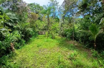 Terreno para venda no bairro coronel, localizado na cidade de itanhaém / sp.