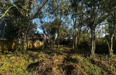 Terreno para venda no bairro gaivota, localizado na cidade de itanhaém / sp.
