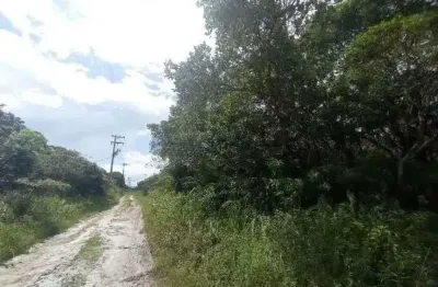 Terreno para venda tem 280 metros quadrados em jardim maramba - itanhaém - sp