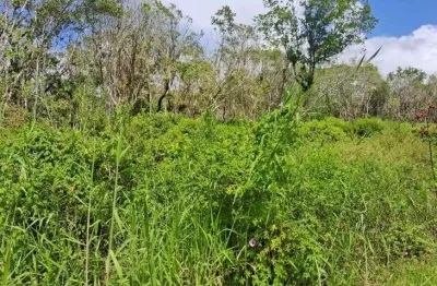 Terreno para venda possui 241 metros quadrados em são fernando - itanhaém - sp