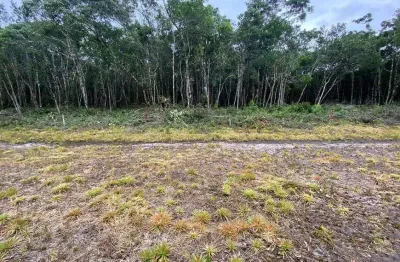 Lotes super baratos no bairro jardim anchieta á 3.000 metros da rodovia !
