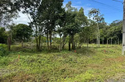 Terreno à venda em itanhaém no bairro gaivota, lado serra à 100 metros da rodovia, com fácil acesso