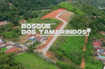 Terreno a venda em barão de javary, miguel pereira, com linda vista e ótima topografia