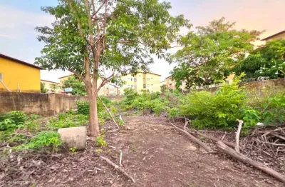 TERRENO À VENDA | 1.000 m² (20 x 50) | Rua Nova  Turu | São Luís/MA | Próx. Av. São Luís Rei de França