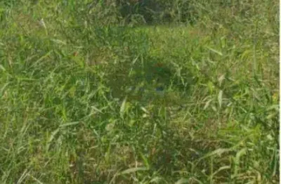 Terreno à venda na Rua Porto Rico, 326, Serra Grande, Niterói