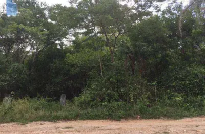 Terreno à venda, 11000 m² por r$ 270.000,00 - várzea das moças - niterói/rj