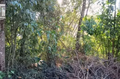 Terreno à venda, 450 m² por r$ 150.000,00 - engenho do mato - niterói/rj