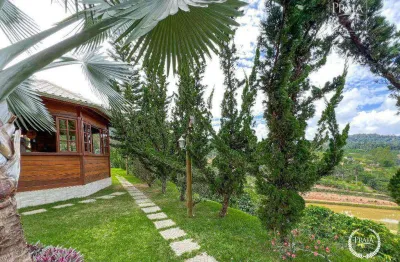 Chácara / sítio com 3 quartos à venda na Estrada Santa Teresa, Nova Lombardia, Santa Teresa