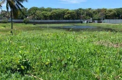 Terreno à venda, 512 m² por r$ 5.500.000,00 - praia da costa - vila velha/es