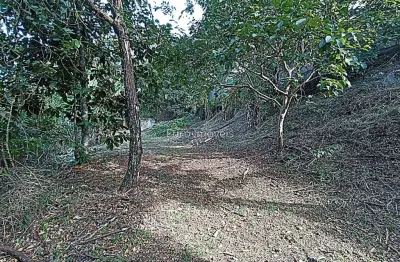 Terreno à venda na Avenida Prefeito Mello Reis, Aeroporto, Juiz de Fora