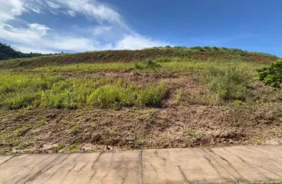 Terreno em condomínio fechado à venda no Vina Del Mar, Juiz de Fora 