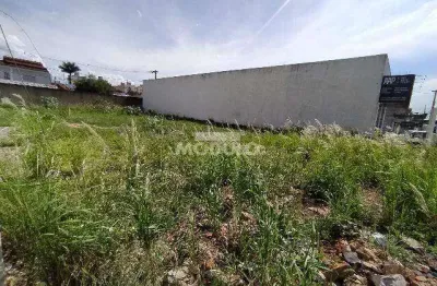 Terreno comercial para alugar na Av Professora Minervina Candida De Oliveira, --, Martins, Uberlândia