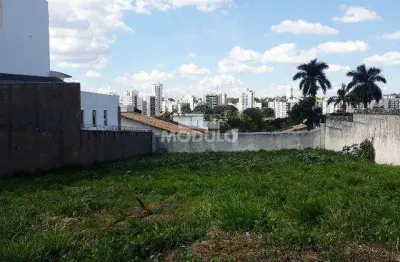 Terreno comercial para alugar na Avenida Uirapuru, --, Cidade Jardim, Uberlândia